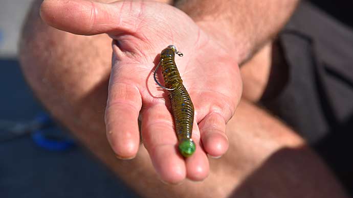 How to Fish this SECRET Zoom Trick Worm Rig to Catch BIG Bass