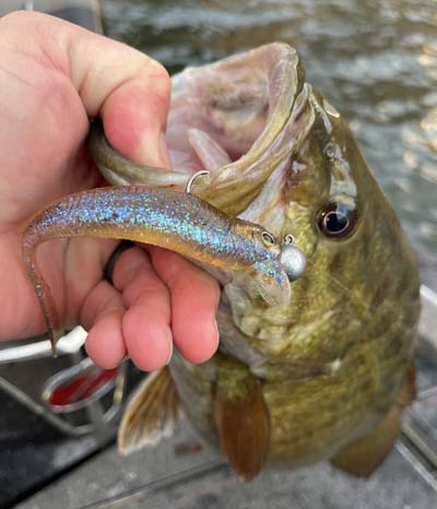 Jig and Minnow