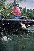 An angler brings in a bass with a soft stick.