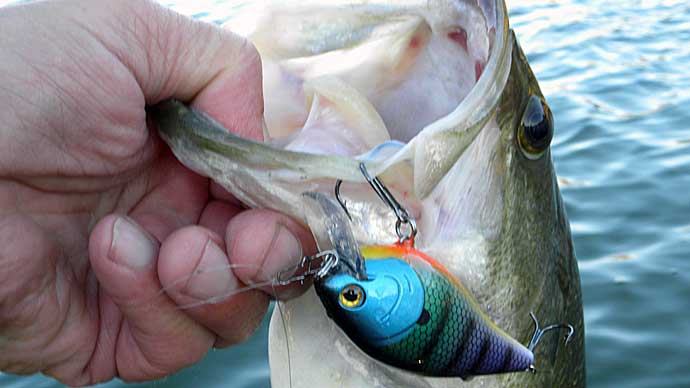 bead fishing hook size Mega Pack 1000pc + Hooks and Beads Bundle