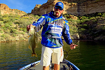 Marty Lawrence targets post spawn fish with a craw. This bass was on a point leading out to the main channel.