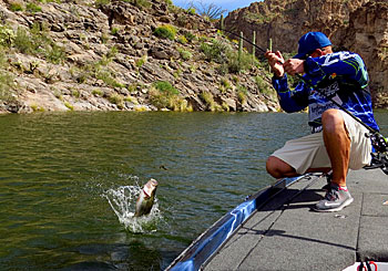 Marty Lawrence with a spunky post-spawn bass at Canyon Lake.