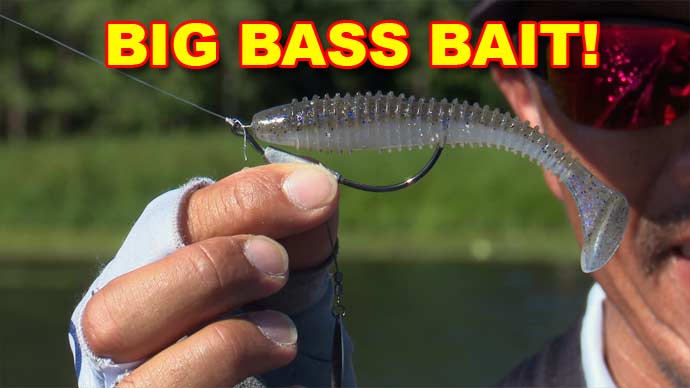 Paddle Tail Swimbaits for Spring Bass with Shin Fukae, Video