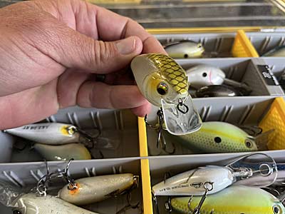 These baits' bill design makes them so effective for fishing around shallow cover.