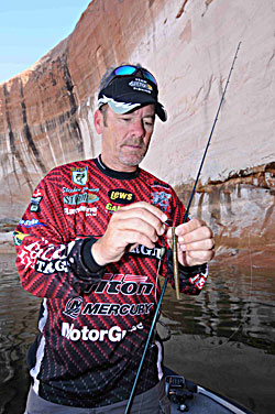 A Texas-rigged stickworm is Stephen Browning’s favorite flipping bait on pressured waters.