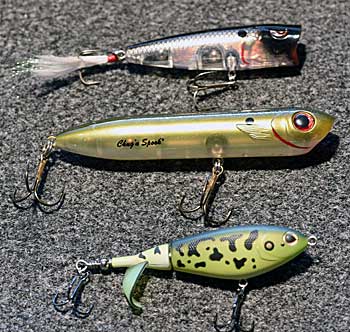 Top 5 Baits For Summer Bass  The Ultimate Bass Fishing Resource Guide® LLC