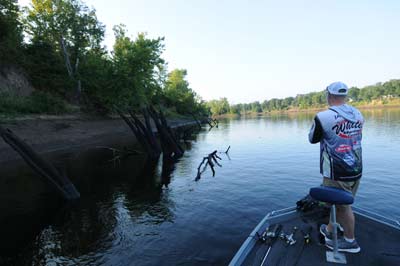 Water fluctuations on a river influenced by a dam cause bank erosion that fells trees, creating perfect cover for bass.