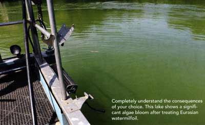 Completely understand the consequences of your choice. This lake shows a significant algae bloom after treating Eurasion ater milfoil.