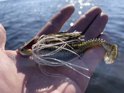 How to Fish a ChatterBait  The Ultimate Bass Fishing Resource Guide® LLC