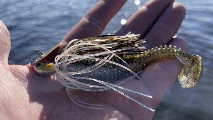How to Fish a ChatterBait  The Ultimate Bass Fishing Resource Guide® LLC