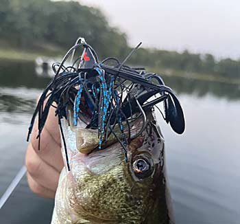 A swim jig's pointed head design helps it swim more freely through underwater objects like aquatic vegetation.