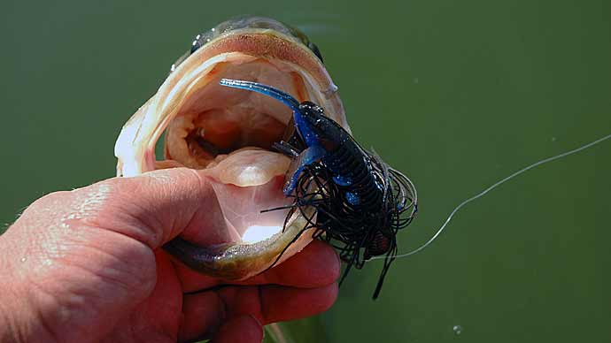 Swim Jig Patterns And Tips  The Ultimate Bass Fishing Resource