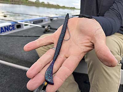 A tried-and-true soft plastic rig is the Texas rig. It's been used for decades and is still one of the best ways to catch a bass.