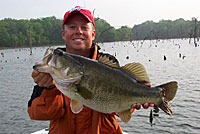 Texas rigs excel for pulling big bass out of heavy cover.
