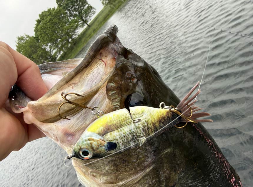 Bass fishing