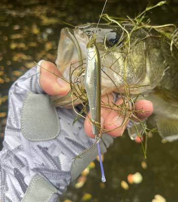 Small versions of topwaters and other hard baits may not seem like "finesse," but the smaller sizes lead to more bites in challenging fishing conditions.