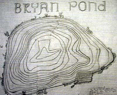 A hand-drawn bathymetry map of your pond would be fun to create.