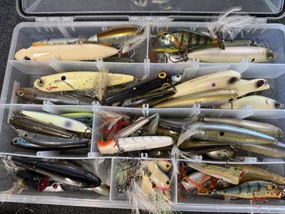 Topwaters of all shapes, sizes, and colors are perfect for fall bass fishing.