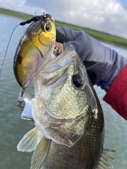 Braided line is a great choice for topwater lures, and adding a few bobber stops before the bait will prevent limp braid from wrapping around the treble hooks.