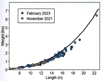 Although underweight relative to the goal, the bass population has responded incredibly well following only 15 months of management. The 2023 data were collected a week or two post-spawn, so 2023 bass weights are skewed to the downside.