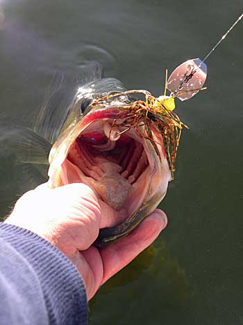Vibrating Jig Pattern Tips And Tactics  The Ultimate Bass Fishing Resource  Guide® LLC
