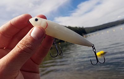A walking topwater lure is exciting to use and one of the best ways to catch bass.