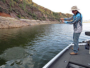 A medium action spinning rod is perfect for Westys. This kind of rocky bank is an ideal place to start.