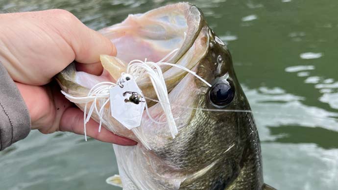 3000 or 4000 reel for surf fishing KastKing Summer and Centron Spinning Reels main image 1
