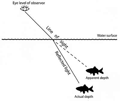 Illustration of why underwater objects appear at lesser than their true depth.