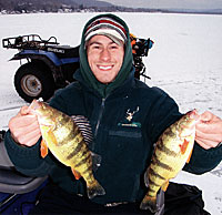 These yellow perch are evidence of healthy water under the ice.