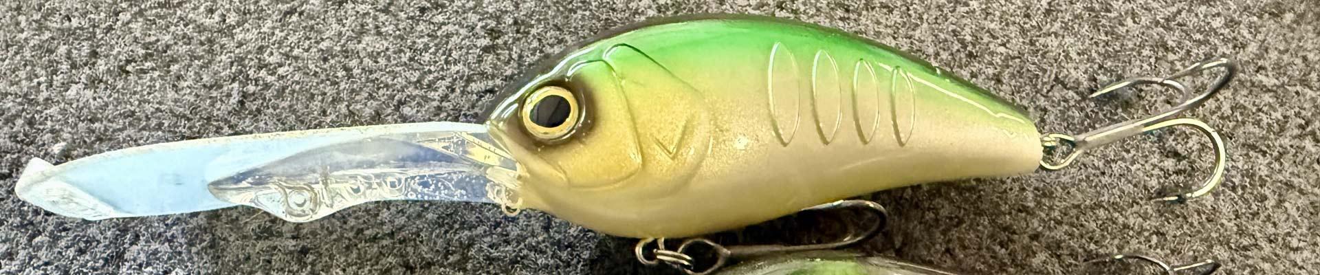 JDM Baits