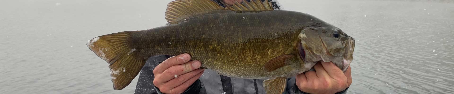 Winter bass fishing