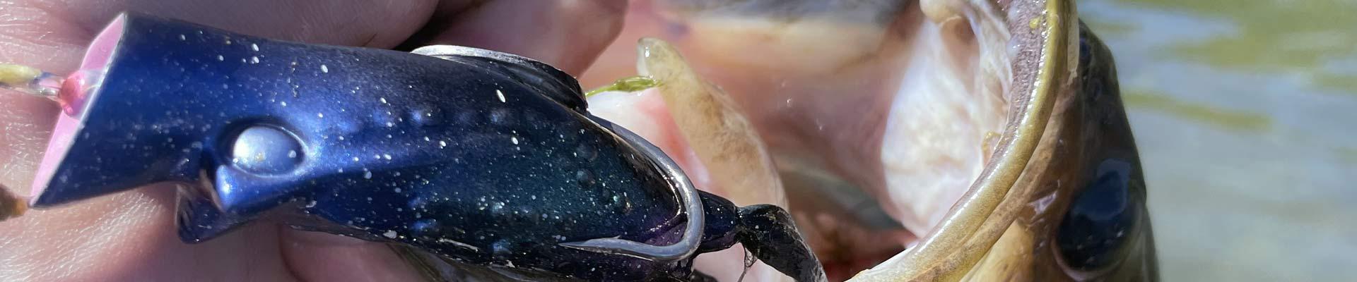 Post Spawn Bass Fishing