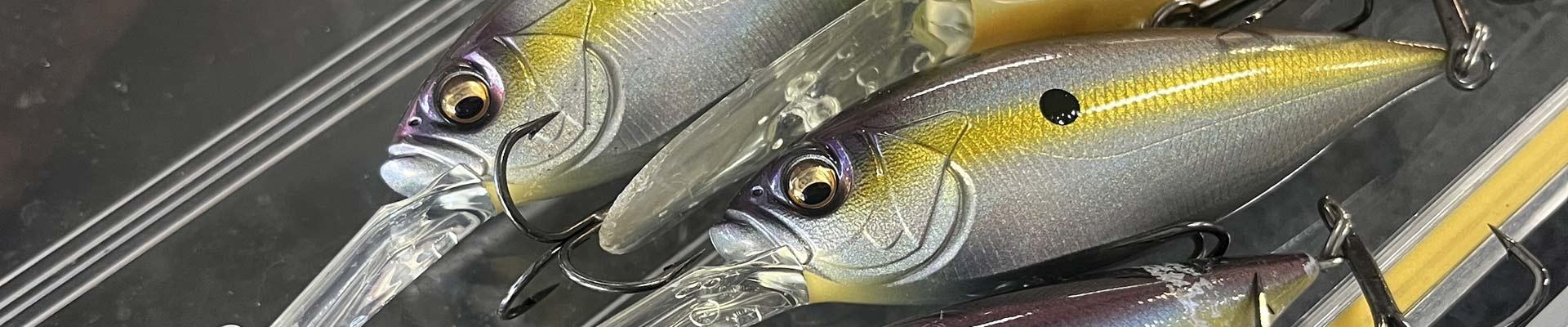 Fall bass fishing
