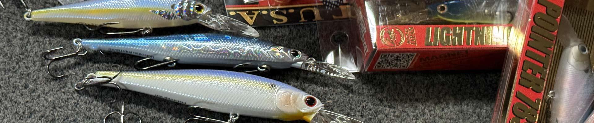 November bass baits