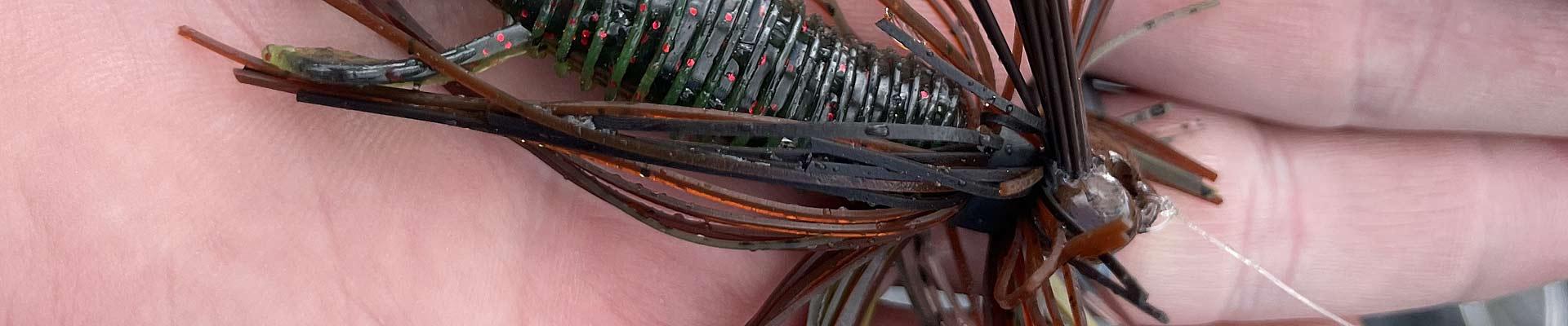 Top 5 baits to Catch Bass in October