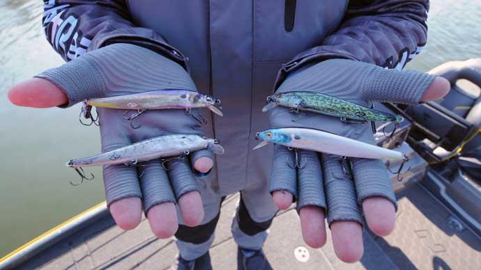 Pour Your Own Soft-Plastic Lures  The Ultimate Bass Fishing Resource  Guide® LLC