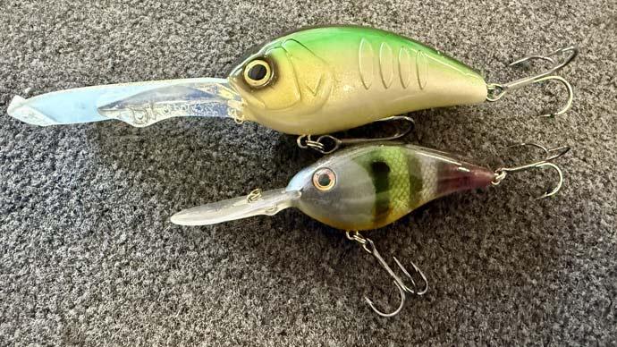JDM baits