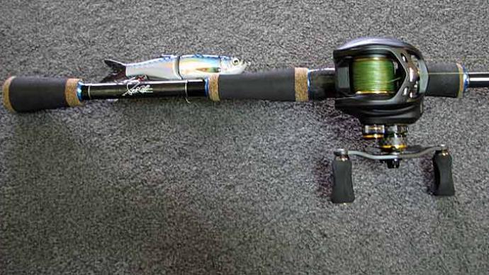 black friday 2017 fishing reels Shimano Curado Dc Black Friday Shimano Fishing Curado DC Baitcasting Reel  Silver Waveinn