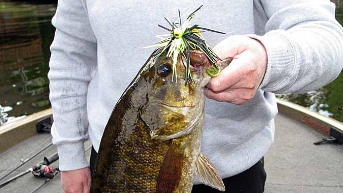20 tips on how to become a better bass angler