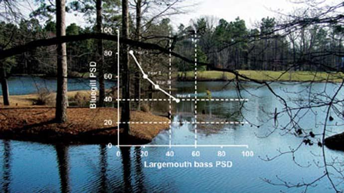 pond management