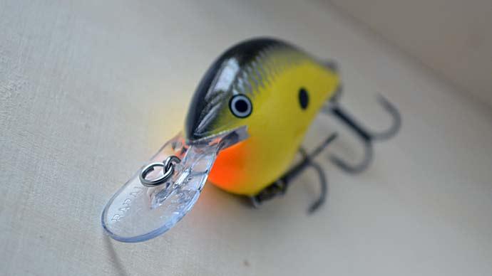 3 Lures That Work