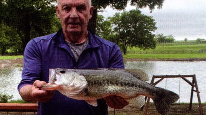 bass bluegill