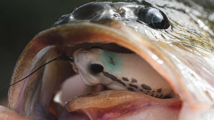 small lures