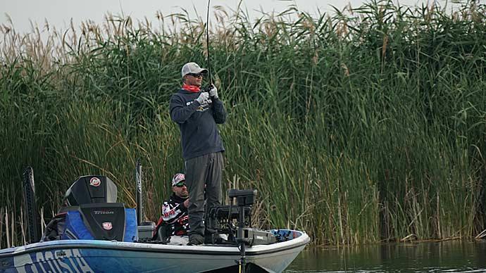 Soft plastics