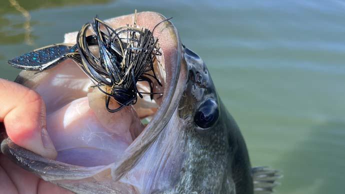 how-to-fish-a-jig – MONSTERBASS