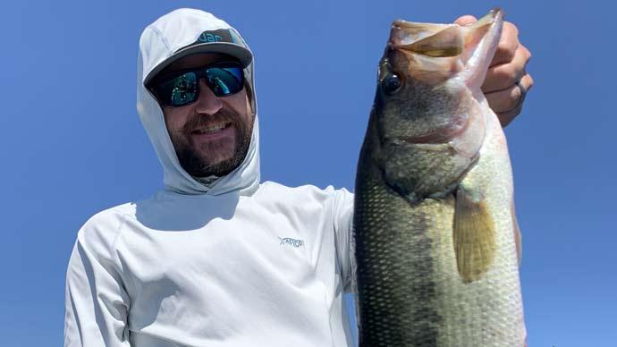 June baits