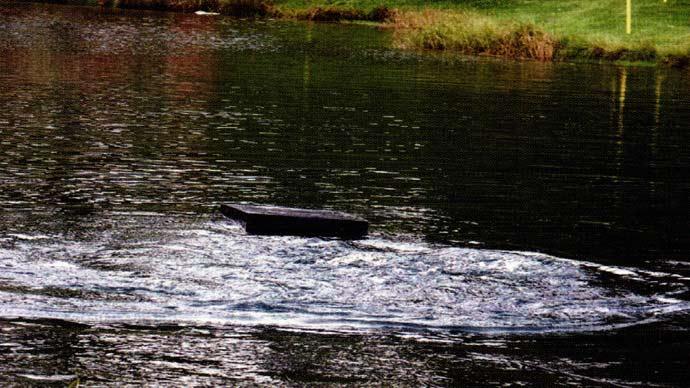 Northern Pond
