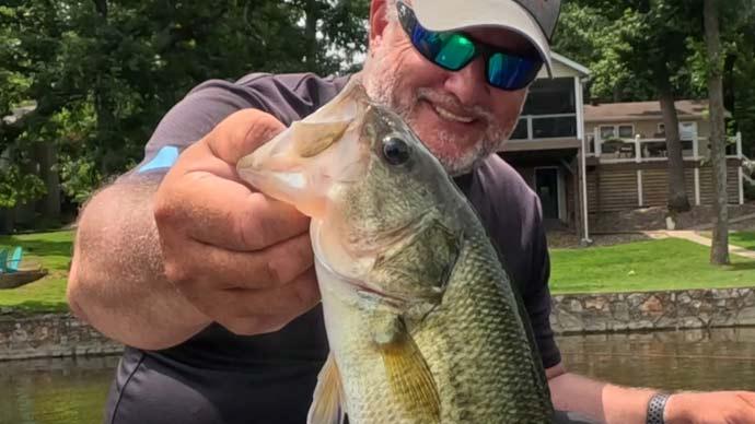 Postspawn bass