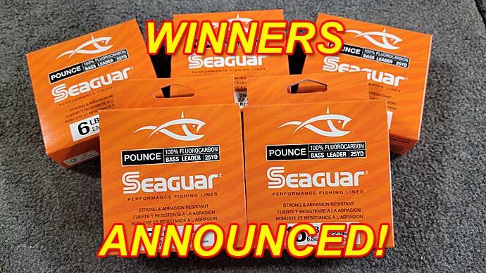 winner